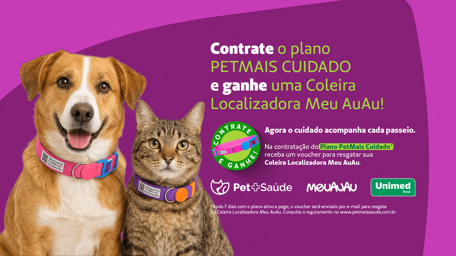 Cachorro