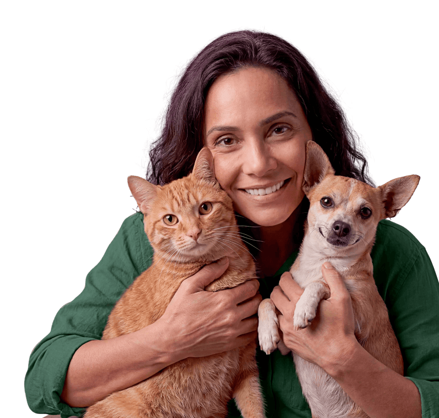 Cachorro e gato felizes