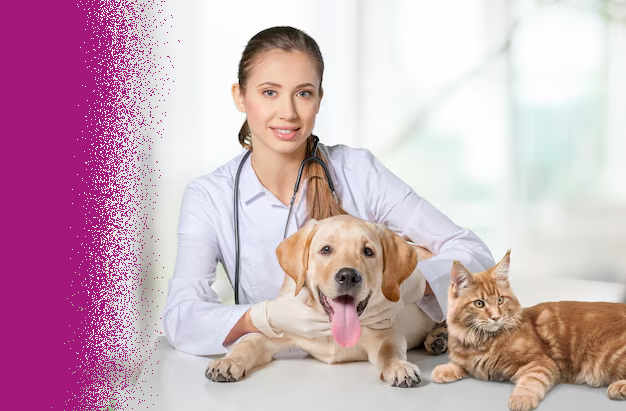 Telemedicina